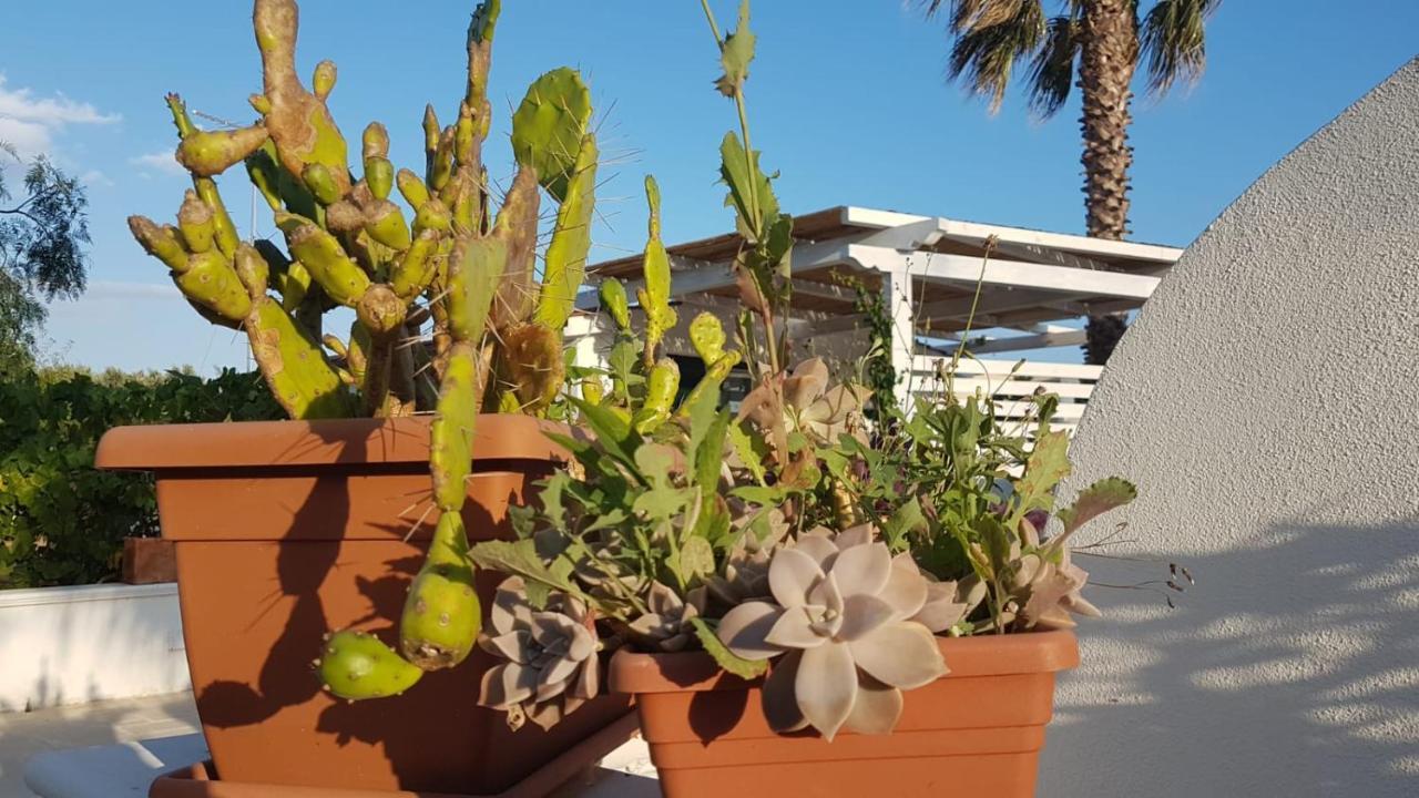 L'Angolodelsole توريه أوفو المظهر الخارجي الصورة